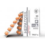 VetaPro Hepatosil Advanced Mini Dog & Cat 30 tbl – Hledejceny.cz