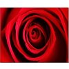 Klasický fotorámeček CANVAS rose red 40x50