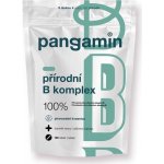 Pangamin přírodní B komplex 120 tablet – Zboží Mobilmania