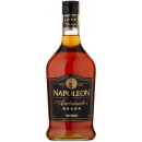 Fernet Stock Napoleon Ambassador 28% 0,7 l (holá láhev)