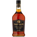 Fernet Stock Napoleon Ambassador 28% 0,7 l (holá láhev) – Zboží Dáma