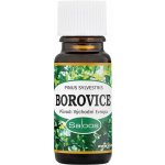 Saloos esenciální olej Borovice 10 ml – Zboží Dáma