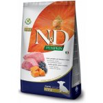 N&D Pumpkin Puppy Mini Grain Free Lamb & Blueberry 7 kg – Zboží Mobilmania