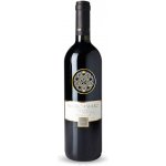 Forte Incanto Negroamaro del Salento IGT 2021 14% 0,75 l (holá láhev) – Hledejceny.cz