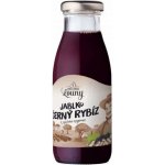 Moštárna Louny mošt Jablko černý rybíz 250 ml – Zboží Dáma