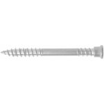 Vrut RAPI-TEC TERASO EKO nerez A2 5.5x60/24 TX25 A2 – Hledejceny.cz