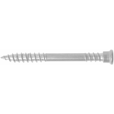 Vrut RAPI-TEC TERASO EKO nerez A2 5.5x60/24 TX25 A2 – Hledejceny.cz