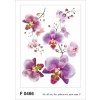 Obraz AG Design, Samolepka / samolepící dekorace na zeď F 0466, Květy růžové orchideje