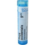 THUYA OCCIDENTALIS POR 9CH GRA 4G – Hledejceny.cz
