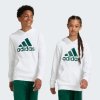 Dětská mikina adidas U Bl Hoodie IV7325 bílý