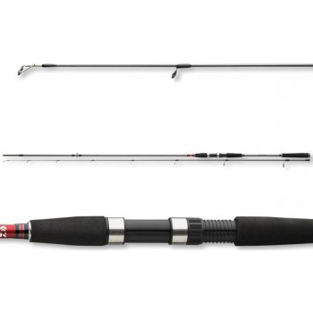 DAIWA SEAHUNTER X SEA 2,4 m 40-120 g 2 díly