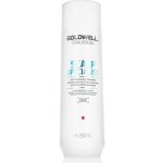 Goldwell Dualsenses Scalp Specialist Anti Dandruf Shampoo 250 ml – Zboží Mobilmania