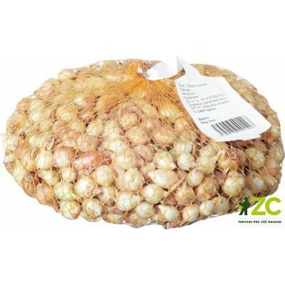 Cibule sazečka - Štuttgartská 500g – Sleviste.cz