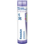 KREOSOTUM POR 30CH GRA 1X4G – Hledejceny.cz