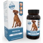 Topvet Protectin humátové tablety pro psy 90 tablet – Hledejceny.cz