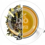 Oxalis Thai Lemon 70 g – Sleviste.cz