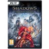 Hra na PC Shadows: Awakening