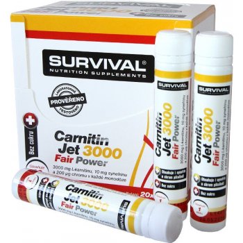 Survival Carnitin JET 3000 fair 500 ml