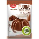 Amylon puding čokoládový bez lepku 40 g