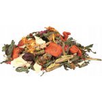 Trixie Mix přírodní pro agamy vousaté 100 g – Zboží Dáma