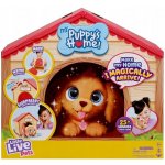 Cobi Little Live Pets Štěňátko s domečkem 26477 – Zboží Dáma