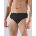 Gina pánské slipy s úzkým bokem, úzký bok, šité, s potiskem, jednobarevné 70058P bílá – Sleviste.cz