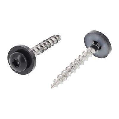 Hlavový lakovaný vrut na parapet 3,9x25 Torx 15 nerez A2 / RAL7016 (200 ks) – Hledejceny.cz