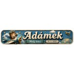 Bezvadary.cz | Dětská cedulka se jménem a motivem malého letce 20x4,2 cm / PVC plast 3mm / bez přísavek dz17 – Hledejceny.cz