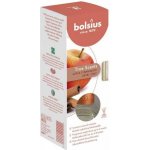 Bolsius Aromatic 2.0 Diffuser Apple Cinnamon vonná stébla 45 ml – Zboží Dáma