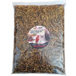 Apetit BLACK SOLDIER FLY LARVEA 0,5 kg – Hledejceny.cz