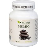 Natural Medicaments Mumio 250 mg 90 tablet – Hledejceny.cz