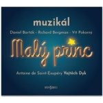 Muzikál - Malý princ CD – Hledejceny.cz