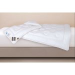 Every Emotion Dream Aerelle Soft Flex přikrývka zimní 220x240 – Sleviste.cz