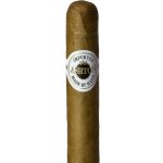 Ashton Classic Churchill – Zboží Dáma