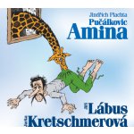Pučálkovic Amina - Jindřich Plachta – Zboží Dáma