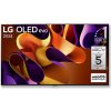 Televize LG OLED55G48LW