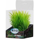 ATG Premium rostlina mini 8-14 cm 237 – Zboží Mobilmania