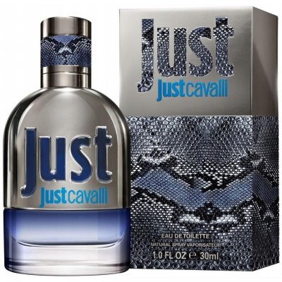 Roberto Cavalli Just Cavalli pánská 2013 toaletní voda pánská 30 ml