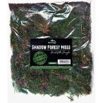 Terrario Shadow Forest Moss 35x30 cm – Zboží Dáma Terrario Shadow Forest Moss 35x30 cm – Zboží Dáma