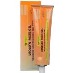 Diafarm Urolsyn pasta pro psy 100 g – Zbozi.Blesk.cz