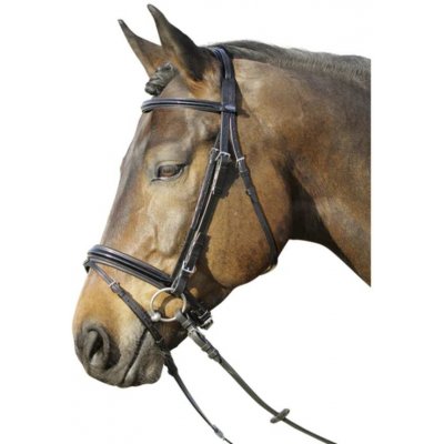 Euroriding Picadilly lakovaná černá – Zboží Mobilmania