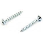 Vrut do dřeva zápustná čočková hlava 4,5x40 mm, zinek bílý – Hledejceny.cz
