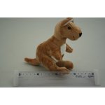 Klokan – Sleviste.cz