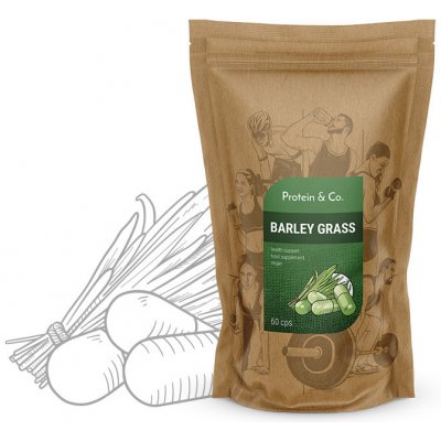 Protein & Co. Mladý ječmen 60 kapslí – Hledejceny.cz