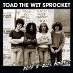 Rock 'N' Roll Runners Toad The Wet Sprocket LP – Sleviste.cz