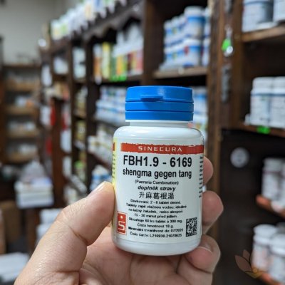 Sinecura FBH1.9 shengma gegen tang 60 tablet – Hledejceny.cz