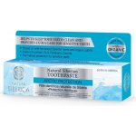Natura Siberica přírodní sibiřská Arktická ochrana 100 g – Sleviste.cz