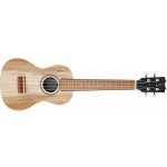 APC CS Concerto Simples APC – Sleviste.cz