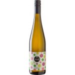 Vinařství rodiny Špalkovy Sauvignon 2024 12% 0,75 l (holá láhev) – Hledejceny.cz