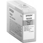 Epson T8509 - originální – Hledejceny.cz